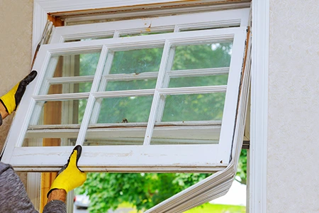 Window Replacement in Tamarac, FL