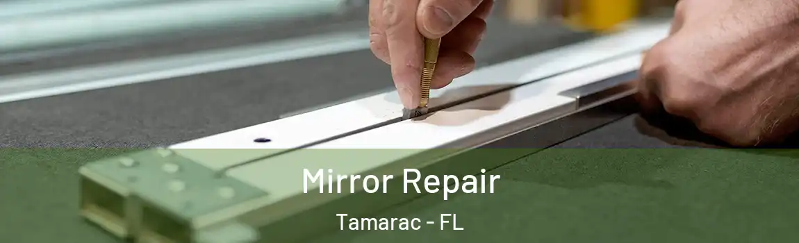 Mirror Repair Tamarac - FL