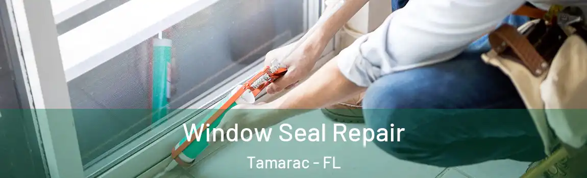 Window Seal Repair Tamarac - FL